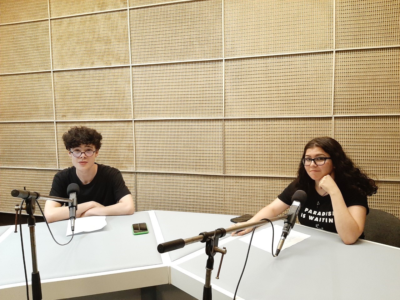 Mladi BiH u simulaciji konferencije Ujedinjenih naroda